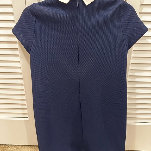 Zara Collared Dress Navy size small - Picture 3 of 3